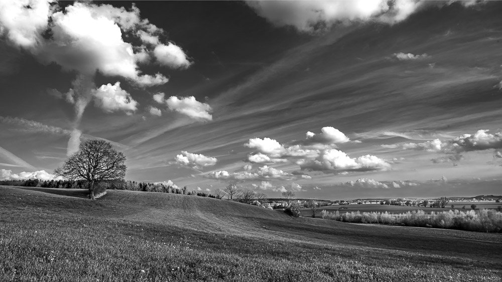 Platz 6 Anton Kienle